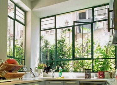 חלונות בלגים במטבח. מחוץ לחלון תלינו אדניות גדולות, והצמחייה שבהן מסתירה את הג'יפה ממול