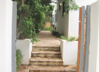 מדרגות מאבן מקומית, קירות נמוכים, וצמחייה יוצרים ביחד את שביל הכניסה