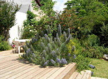 גם חדר השינה קיבל מרפסת יפה לכיוון הגינה האחורית, עם צמחייה בגוונים שונים של ירוק