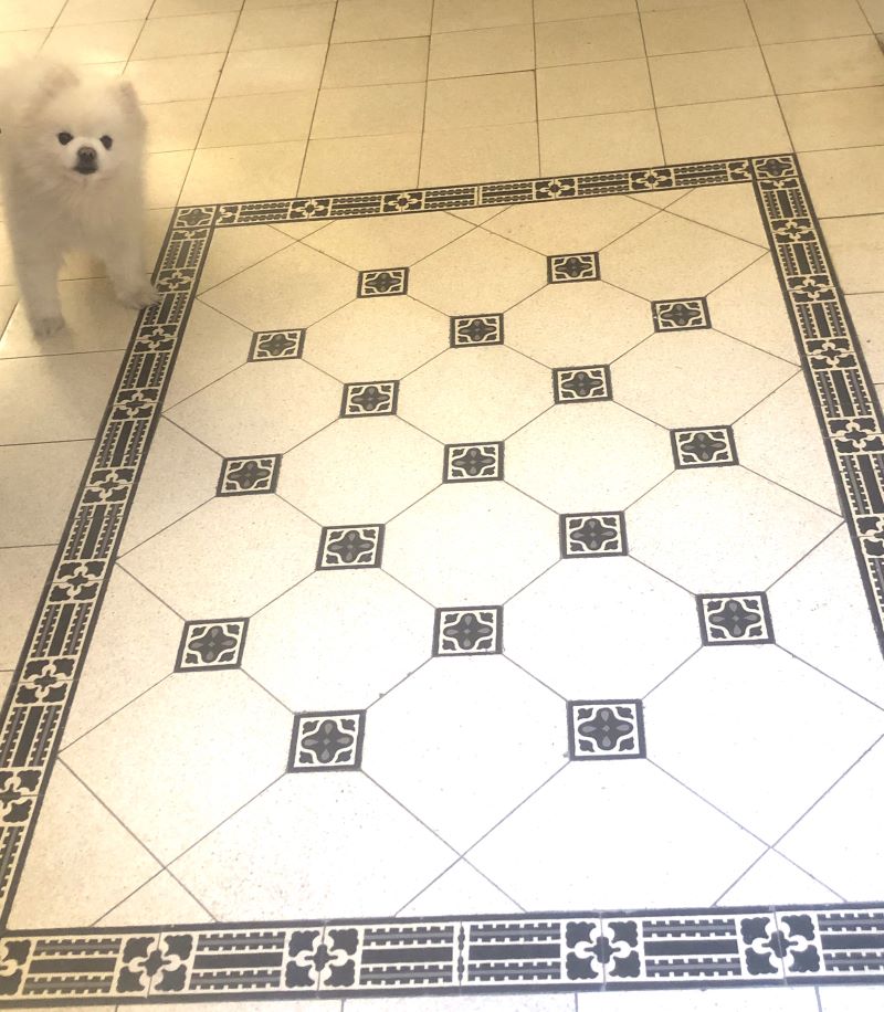 Instead of carpets, which are easy to fall on, we used ornate tiles here to create a pattern in the flooring