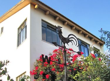 •	front facade, street view