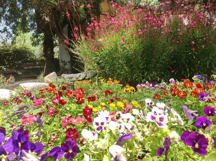 Landscaping